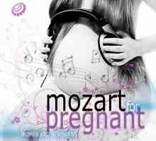 Моцарт за бременни жени и новородени