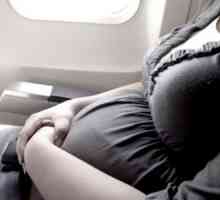 Не може да си бременна или лети със самолет?