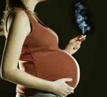 Възможно ли е за бременни жени, за да пушат? Трябва ли да се хвърлят?