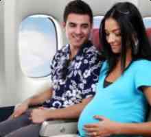 Възможно ли е за бременни жени, за да летят в самолет?