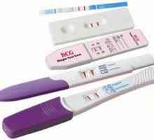 Можем ли да направим тест за бременност, по време на менструация?