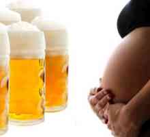 Възможно ли е да се пие бира по време на бременност