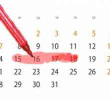 Жена овулацията календар: значението на го прави