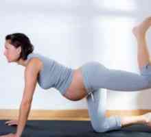 Мога ли да спортуват по време на бременност