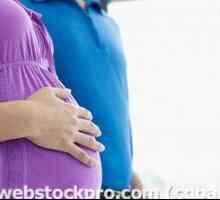 В 9-ия месец на бременността - разпределение, пол, стомаха и развитието на плода