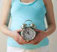 На какъв срок можем да определим на бременност?
