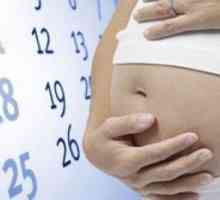 Бременност седмица по месец