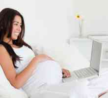 Немски отдалечено на Skype по време на бременност
