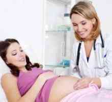 Какво прави матката надморска височина по време на бременност?