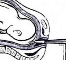 Околоплодната течност по време на бременност