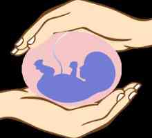 Oxolinic мехлем по време на бременност: безопасна и ефективна защита срещу вируси!