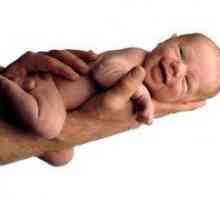 Основните характеристики на новородени