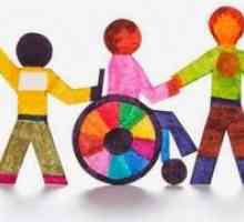 Основните принципи на образование на децата с увреждания