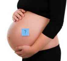 Папиломен по време на бременност: не докосвайте неприятности, докато тя тихо?