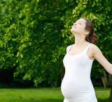 Папиломен по време на бременност