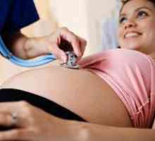 Първият радостта от майчинството - фетална движение по време на бременност (първа, втора и трета)