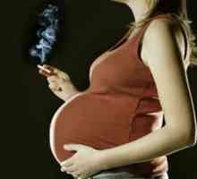 Защо не токсикоза по време на бременност