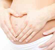 Какво определя началото на разбъркването на плода по време на бременност и как да се изчисли…