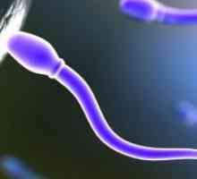 Подвижността на сперматозоидите
