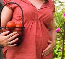 Домати по време на бременност