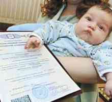 Процедурата за регистриране на новородените деца: стъпка по стъпка