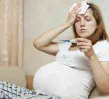 Настинките 15 седмици на бременността