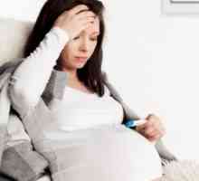Настинките по време на бременност