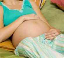 Пулсации в корема по време на бременност