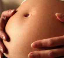 Развитие на бременността: 26 седмици