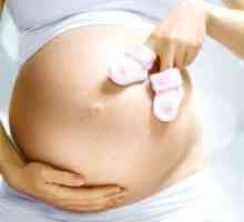 Развитие на бременността: 28 седмици
