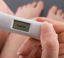 Rh фактор по време на бременност