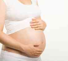 Седловидна матка и бременност