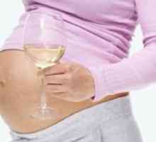 Шампанско по време на бременност