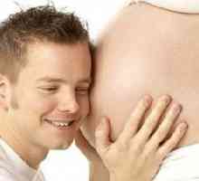 Плода движения през втората бременност