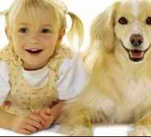 Куче за семейство с деца - какво порода да избера?