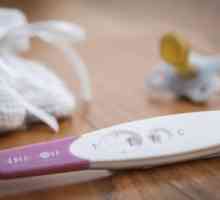Тест за бременност след овулация