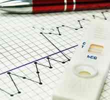 Овулацията тест за бременност