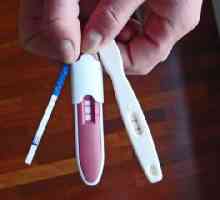 Тестовете за бременност са погрешни? Узи показа бременност