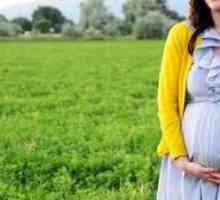 Дърпа стомаха 39 седмици бременна