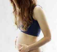 Издърпайте корема в началото на бременността
