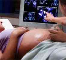 Дебелината на плацентата по време на бременност