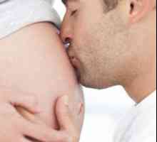Участие в бъдеща бременност татковци
