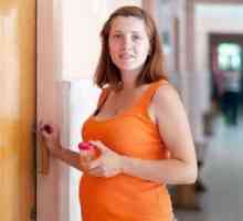 Учените твърдят, че анализът на урината може да се определи риска от преждевременно раждане!