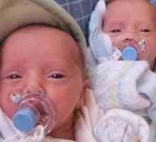Грижа за близнаци - двойно удоволствие и двойно грижата