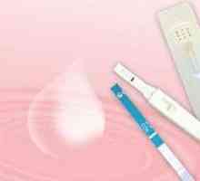 Ултрасензитивен тестове за бременност