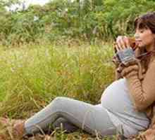 Успокоително по време на бременност и кърмене