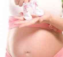 Тегло на детето в утробата