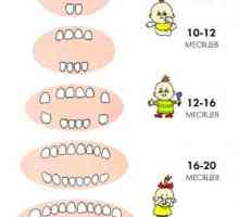 В колко месеца детето никненето на зъби?