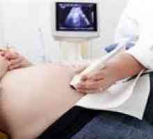 Вреда ултразвук по време на бременност