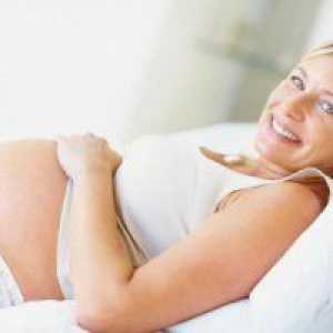 10 Седмици от бременността